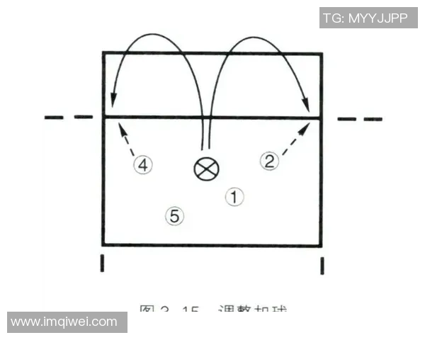 武汉排球队的防反战术解析与实战应用探讨